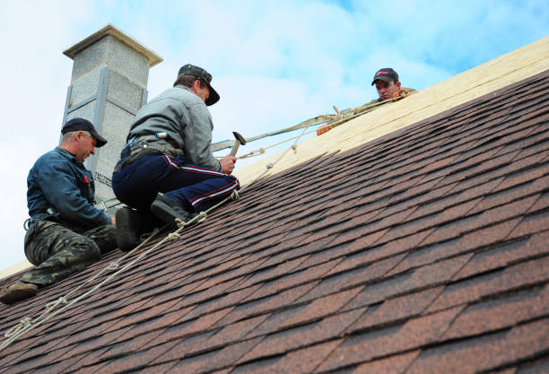 Professional Roofing Contractor in Gleneagle, CO